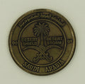 101st Airborne Division Support Group Corps Desert Shield/Storm Army Challenge Coin