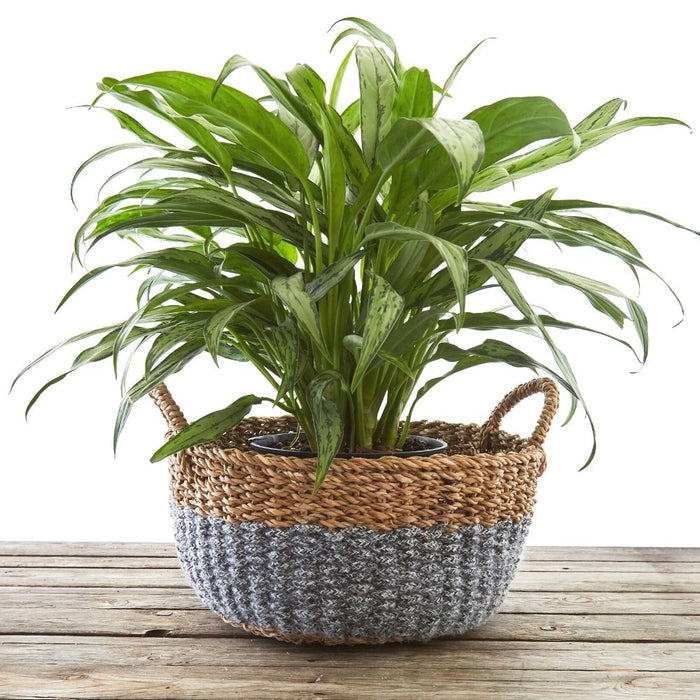 16" Small Wide Cotton Rope Planter Shelf Basket Set of 3