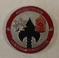 2D Marine Special Operations Battalion MARSOC Commander Challenge Coin