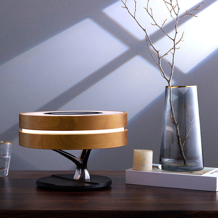 Circle Of Life Light