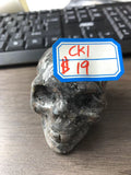 CK1-2022.2.21-CASSIE