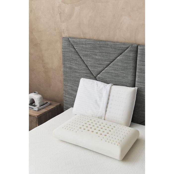 Dentons Incredible Pillow - by A.H.Beard