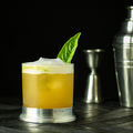 Double Old Fashioned Glass