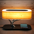 Light Of Life (wireless charging & Bluetooth Speaker)