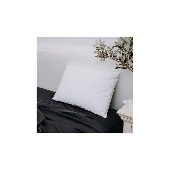 Protectiva Cotton Bamboo Stretchknit Pillow Protector - Standard